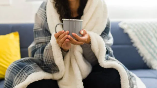 Se pronostican heladas en más de la mitad de la República Mexicana hoy 1ro de diciembre 2024 