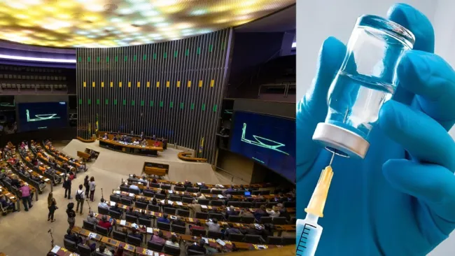  Brasil aprueba oficialmente la castración química para los abusadores 