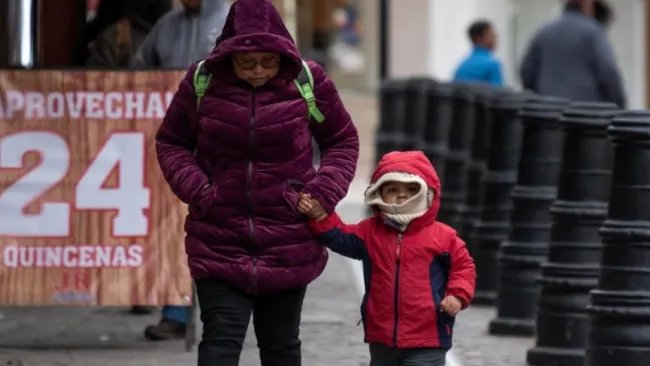 En estas temporadas de frío aprovecha esta oportunidad de conseguir una chamarra gratis
