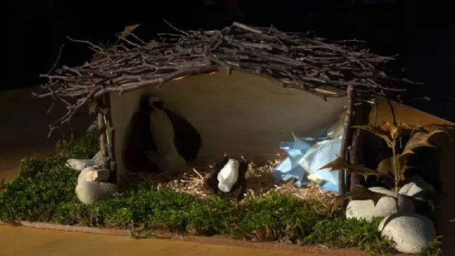 ¿Es recomendable poner musgo en el nacimiento navideño? Esto dicen expertos