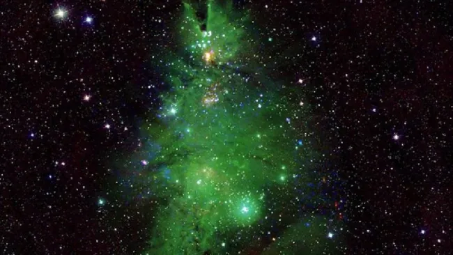 NASA muestra estrellas que forman un árbol de Navidad en el espacio