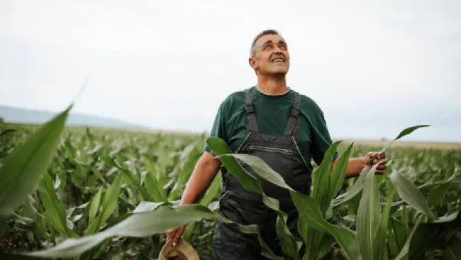 Cabañuelas 2025: ¿Qué clima se espera en diciembre según este método?