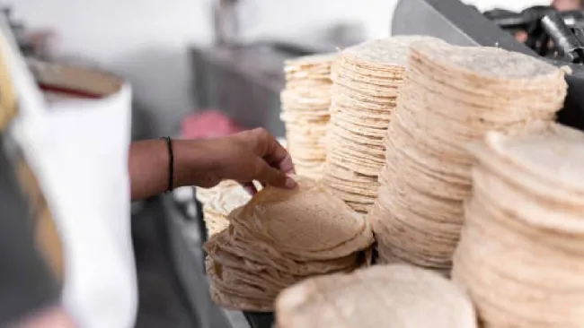 CDMX tendrá tortillerías comunitarias de maíz nativo y con kilo de tortillas a costo accesible