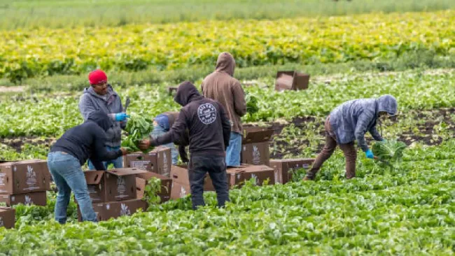 Un día sin inmigrantes: Así protestaron en Estados Unidos con comercios cerrados y trabajos abandonados 