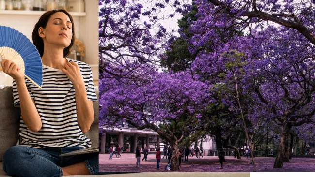 Llegada de la primavera traerá calor por cambios de clima