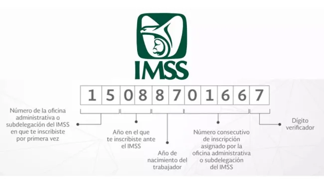 Así puedes sacar tu Número de Seguridad Social por primera vez en 2025