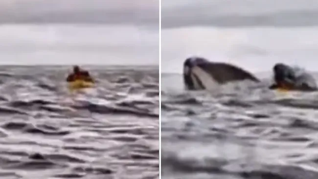 Los hechos fueron grabados por el padre de la víctima, quien al final salió ileso.