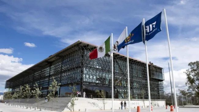 FMF suspende a siete futbolistas por participación en apuestas deportivas