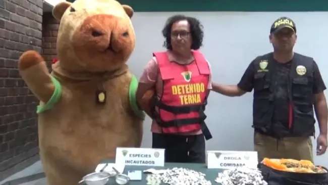 Policía en Perú se disfraza de capibara para atrapar a un narcotraficante