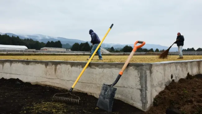 Atlante estrenaría instalaciones en el verano