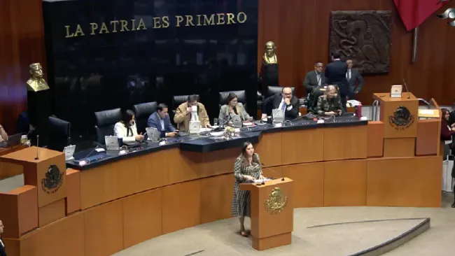 El Senado mandó a la Cámara de Diputados la reforma para su aprobación.