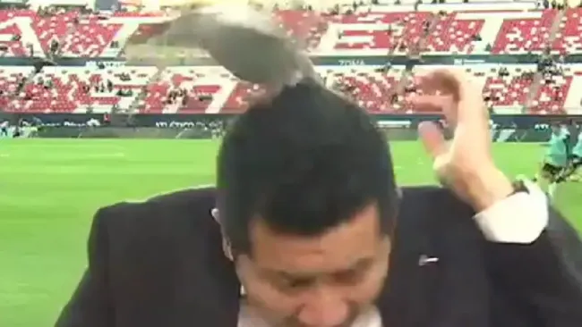 Reportero de ESPN sufre susto con una paloma en el Atlético de San Luis vs Juárez