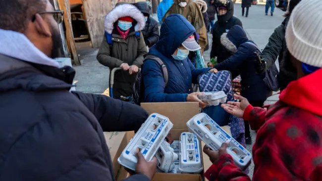 Reparten reja de huevos gratis en Queens, NY