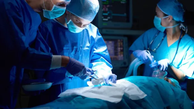 Ya son varios casos en el mundo que utilizan los órganos del animal.