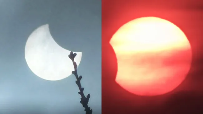 Las personas decidieron compartir en redes el momento del eclipse.