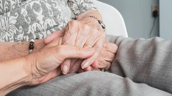 Certificado de Supervivencia del IMSS: ¿Dónde tramitarlo y para qué sirve?