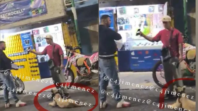 VIDEO: Captan a hombre paseando a leona en calles de Iztapalapa 