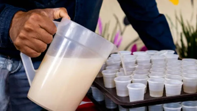 ¿Cuándo será la Feria del Pulque y la Barbacoa 2025 en CDMX y qué actividades habrá?