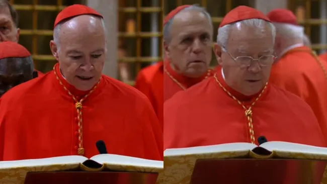 Los cardenales también pudieron ser elegidos para ser el pontífice del Vaticano.