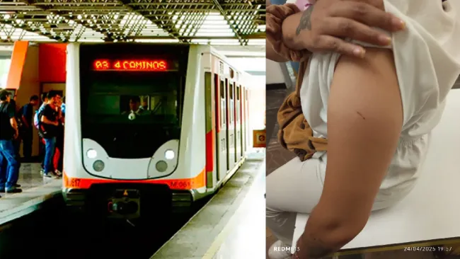 Buscan modificar el Código Penal para tipificar como delito estos actos.