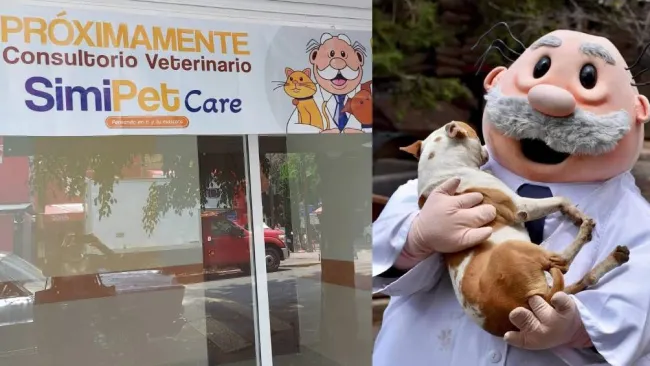¿Veterinario del Dr. Simi? Esto sabemos de SimiPet Care y sus servicios baratos