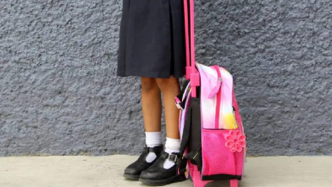 ¿SEP cambiará el regreso a clases? Así será el nuevo ciclo escolar 2025-2026