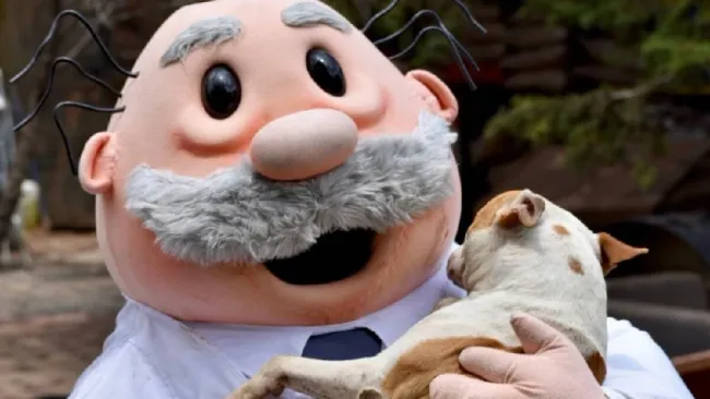 Dr. Simi Veterinario: Esto costarán las consultas para perros y gatos en el SimiPet Care