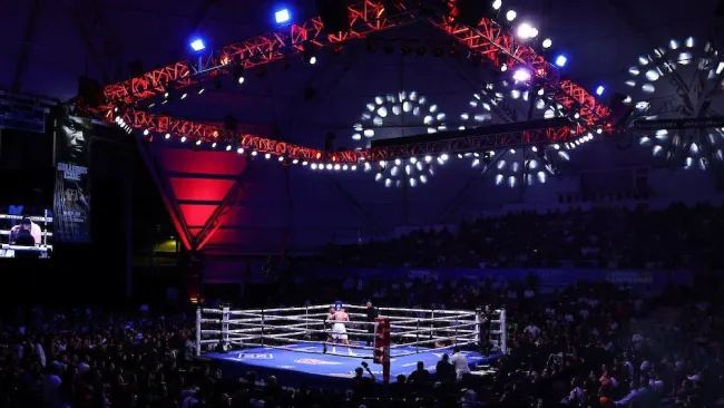 Estos son los actuales campeones 