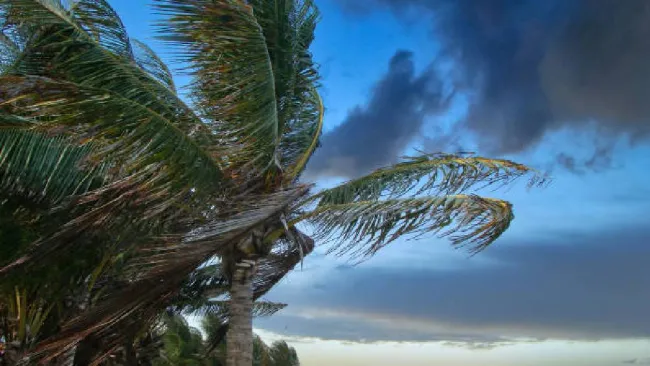 Bárbara y Cosme se acercan a México: podrían formar ciclones y un fenómeno inusual en el Pacífico