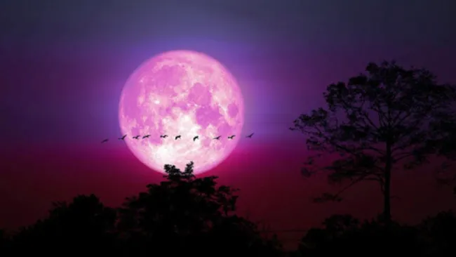 Desde México también se podrá observar, checa el horario.