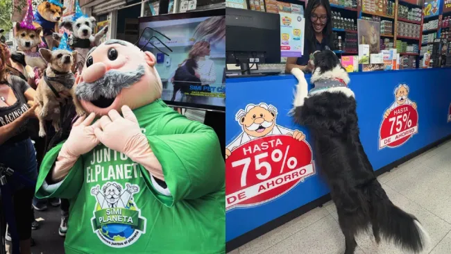 Todos las mascotas estuvieron contentas al momento de su revisión.