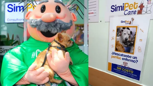 Veterinaria del Dr. Simi ofrece consultas GRATIS a perros rescatados