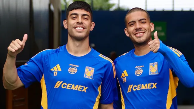 Tigres en entrenamiento