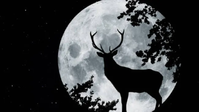 Luna de Ciervo; ¿qué es, cuándo y cómo disfrutar este evento astronómico?