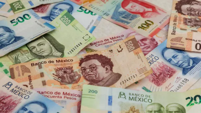 Los billetes de 10, 20, 50 y 100 nuevos pesos estarán fuera.