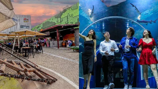 Acuario Michin a 99 pesos en vacaciones de verano: Sólo aplica en este horario