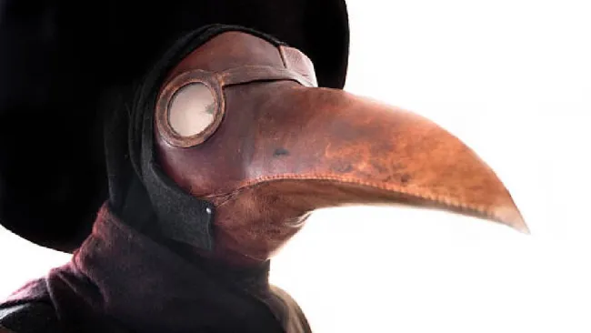 Confirman muerte por peste bubónica en Arizona: ¿hay riesgo de contagio?