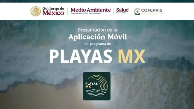 Playas Mx, la app que te dice cuál es la calidad del agua en todas las playas del país