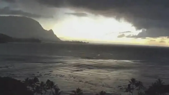 El mar retrocede más de 30 metros en Hawái tras sismo en Rusia: así se vivió el fenómeno