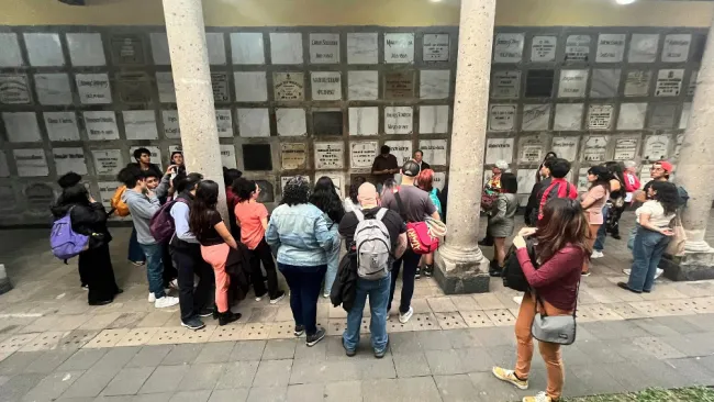 Desde películas hasta artículos de colección podrás encontrar.