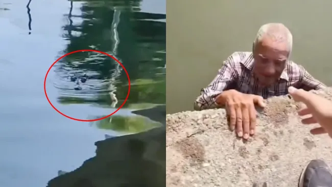 El señor parecía no tener miedo ni ser la primera vez que se aventaba.