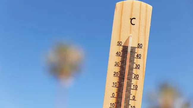 Las altas temperaturas llegan hasta los 48.7 grados centígrados.