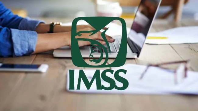 IMSS 2025: Cómo consultar y descargar tu constancia de semanas cotizadas