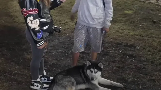 Perrito héroe salva a su dueño segundos antes de la explosión en Iztapalapa