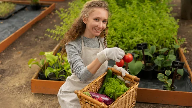 Puedes transformar un pequeño rincón en un espacio verde.