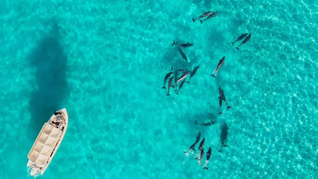 BC sobresale en financiamiento sostenible: Daniel Madariaga Barrilado