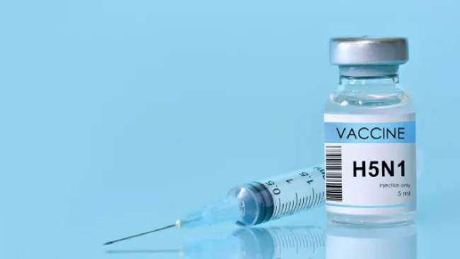 ¿Cuándo inicia la campaña de vacunación contra la influenza en México?