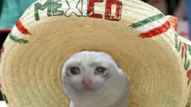 ‘Mechico’: Los mejores memes de la derrota de México a mano de Argentina en el Mundial Sub-20. Noticias en tiempo real