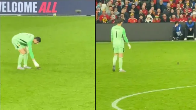 El arquero belga tratando de cazar a un ratón