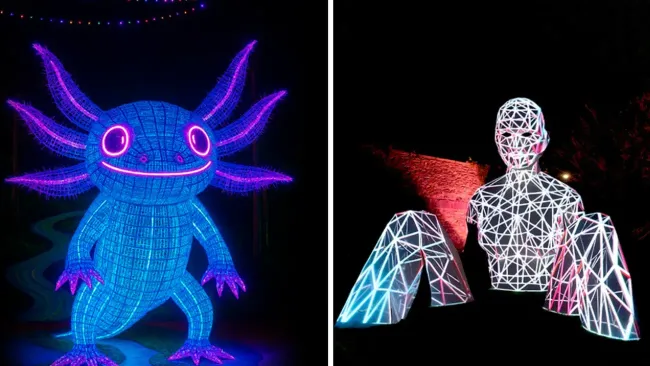 Festival Internacional de las Luces 2025: Así luce Paseo de la Reforma con figuras iluminadas
